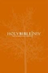 International Bible Society - Niv Popular Bible