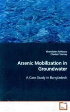 Khandaker Ashfaque, Charles Harvey - Arsenic Mobilization in Groundwater