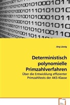 Jörg Lässig - Deterministisch polynomielle Primzahlverfahren