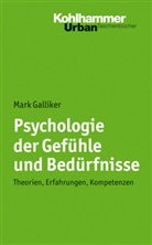 Mark Galliker - Psychologie der Gefühle und Bedürfnisse