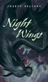 Joseph Bruchac, Sally Wern Comport - Night Wings