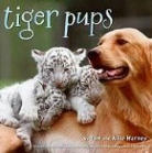 Allie Harvey, Tom Harvey, Tom and Allie Harvey, Tom/ Harvey Harvey, Tom Harvey, Keith Philpott - Tiger Pups