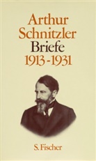 Richard Miklin, Susanne Pertlik, Arthur Schnitzler, Peter M. Braunwarth, Peter Michael Braunwarth, Richar Miklin... - Briefe: 1913-1931