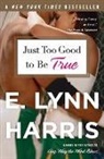E Lynn Harris, E. Lynn Harris, Harris E. Lynn - Just Too Good to Be True