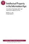 AEHE, BAEZ, Benjamin Baez, Sun, Jeffrey C. Sun, Jeffrey C. Baez Sun... - Intellectual Property in the Information Age