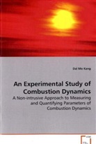 Dal Mo Kang - An Experimental Study of Combustion Dynamics