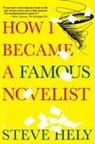 Steve Hely, Hely Steve - How I Became a Famous Novelist