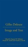 Eugene W Holland, Eugene W. (EDT)/ Stivale Holland, Daniel W Smith, Cha Stivale, Eugene W. Holland, Daniel W. Smith... - Gilles Deleuze: Image and Text