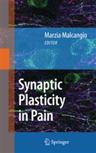 Marzi Malcangio, Marzia Malcangio - Synaptic Plasticity in Pain