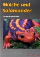 Hans-Joachim Hermann, Hans J Herrmann, Hans-Joachim Herrmann, E. D. Brodie, Hans-Joachim Herrmann, T. Holtmann... - Molche und Salamander