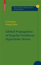 Tatsie Li, Tatsien Li, Wang Libin, Li Tatsien, Libin Wang - Global Propagation of Regular Nonlinear Hyperbolic Waves