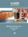 Dirk Apgar, Dirk Witherspoon Apgar, Chris Easter, Jay Witherspoon, Dirk Apgar - Minimization of Odors and Corrosion in Collection Systems Phase 1