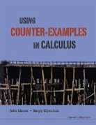 Mason John H, John Mason &amp; Sergiy Klymchuk, Sergiy Klymchuk, Sergiy (Auckland Univ Of Technology Klymchuk, John H (Open Univ In Milton Keynes Mason, John H. Mason... - Using Counter-Examples in Calculus
