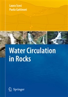 Paola Gattinoni, Laur Scesi, Laura Scesi - Water Circulation in Rocks