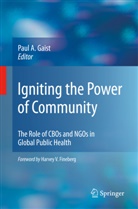 Pau A Gaist, Paul A Gaist, Paul A. Gaist - Igniting the Power of Community
