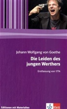 Johann Wolfgang Von Goethe, Ber Sander - Die Leiden des jungen Werthers