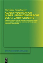 Christine Ganslmayer - Adjektivderivation in der Urkundensprache des 13. Jahrhunderts