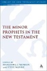 Maarten J J Menken, Maaten J. J. Menken, Steve Moyise, Steve Menken Moyise, MOYISE STEVE MENKEN MAARTEN J J, Maarten J. J. Menken... - The Minor Prophets in the New Testament