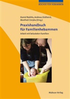 Cierpka, Man Cierpka, Manfred Cierpka, Man Cierpke, Eickhors, Andrea Eickhorst... - Praxishandbuch für Familienhebammen