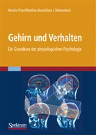 Bran, Matthia Brand, Matthias Brand, Markowitsch, Hans Markowitsch, Hans J. Markowitsch... - Gehirn und Verhalten