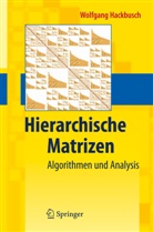 Wolfgang Hackbusch - Hierarchische Matrizen