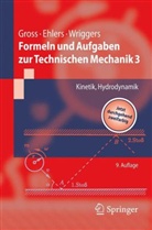 Wolfgang Ehlers, Dietmar Gross, Peter Wriggers - Formeln und Aufgaben zur Technischen Mechanik - Bd.3: Kinetik, Hydrodynamik