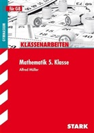 Alfred Müller - Mathematik 5. Klasse für G8