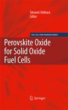 Tatsum Ishihara, Tatsumi Ishihara - Perovskite Oxide for Solid Oxide Fuel Cells
