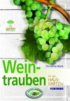 Christina Nack - Weintrauben für den Hausgarten