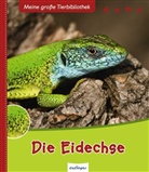 Paul Starosta, Paul Starosta - Die Eidechse