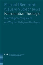 Reinhold Bernhardt, Klaus von Stosch - Komparative Theologie