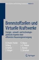 Holge Berg, Holger Berg, B. Droste-Franke, Ber Droste-Franke, Bert Droste-Franke, A. Kötter... - Brennstoffzellen und Virtuelle Kraftwerke