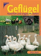 Alice Stern, Alice Stern-Les Landes - Geflügel