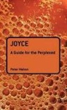 Peter Mahon, MAHON PETER - Joyce: A Guide for the Perplexed