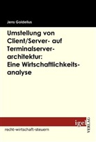 Jens Goldelius - Umstellung von Client/Server- auf Terminalserverarchitektur: Eine Wirtschaftlichkeitsanalyse