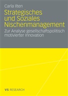 Carla Ilten - Strategisches und soziales Nischenmanagement