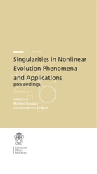 Matteo Novaga, Matte Novaga, Matteo Novaga, Orlandi, Orlandi, Giandomenico Orlandi - Singularities in nonlinear evolution phenomena and applications