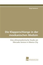 Birgit Buxbaum - Die Klapperschlange in der mexikanischen Medizin