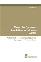 Fanny Masson - Molecular Dynamics Simulations of a Lesion in DNA