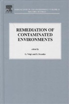G. Voight, S. Fesenko, Sergey Fesenko, G. Voigt, Gabriele Voigt - Remediation of Contaminated Environments