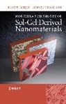 Nguyen T. Anh, Nguyen Trong Anh, Rober Corriu, Robert Corriu, Robert Anh Corriu, Corriu Robert - Molecular Chemistry of Sol-Gel Derived Nanomaterials