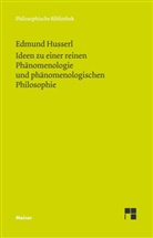 Edmund Husserl, Elisabet Ströker, Elisabeth Ströker - Ideen zu einer reinen Phänomenologie und phänomenologischen Philosophie. Buch.1