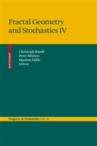 Christoph Bandt, Pete Mörters, Peter Mörters, Martina Zähle - Fractal Geometry and Stochastics. Pt.4