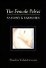 Blandine Calais-Germain, Blandine Calais-Germian, blandine Calasi germain - Female pelvis -the-