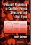 H. F. (Henry F. ). Smirnov, Henry Smirnov, Henry (Promgasapparat Smirnov, Smirnov Henry - Transport Phenomena in Capillary-Porous Structures and Heat Pipes