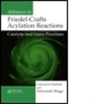 Raimondo Maggi, Raimondo (University of Parma Maggi, Maggi Raimondo, Giovanni Sartori, Giovanni (University of Parma Sartori, Giovanni Maggi Sartori... - Advances in Friedel-Crafts Acylation Reactions