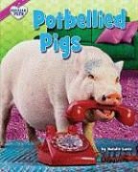 Natalie Lunis - Potbellied Pigs