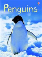 Emily Bone, Bone Emily, Jenny Cooper, Cooper Jenny, Tim Haggerty, Haggerty Tim - Penguins