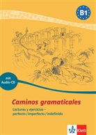 Lucía Borrero, Sabin Segoviano Rosenblum, Sabine Segoviano Rosenblum - Caminos gramaticales B1, m. Audio-CD