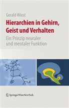 Gerald Wiest - Hierarchien in Gehirn, Geist und Verhalten